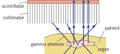 <ul><li><p>Honeycomb of long, thin lead tubes</p></li><li><p>Only gamma photons parallel to the axis of the tubes to pass through (absorbs any of axis photons)</p></li></ul><p></p>