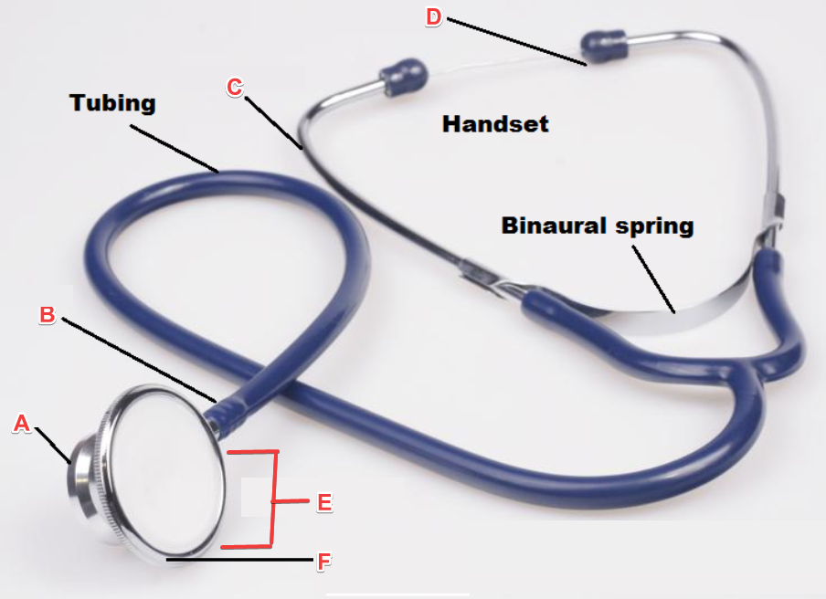 <p><strong>Label A </strong>is what part of the stethoscope?</p>