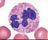 <p>What is this an image of?</p>