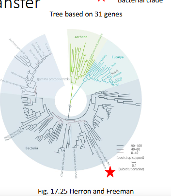 <p>What does this tree dipict?</p>