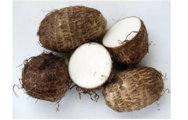 <p>Small taro</p>