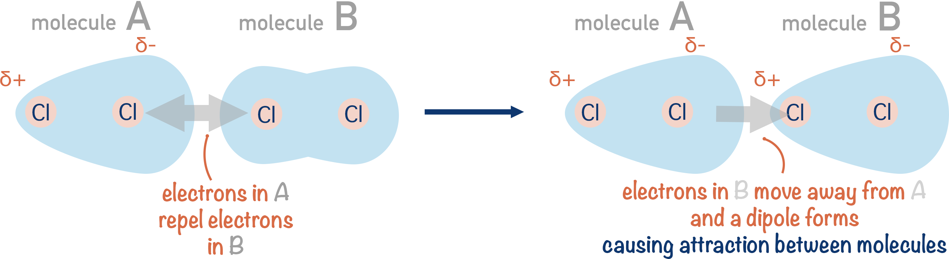 <p>Explain how temporary induced dipoles work.</p>