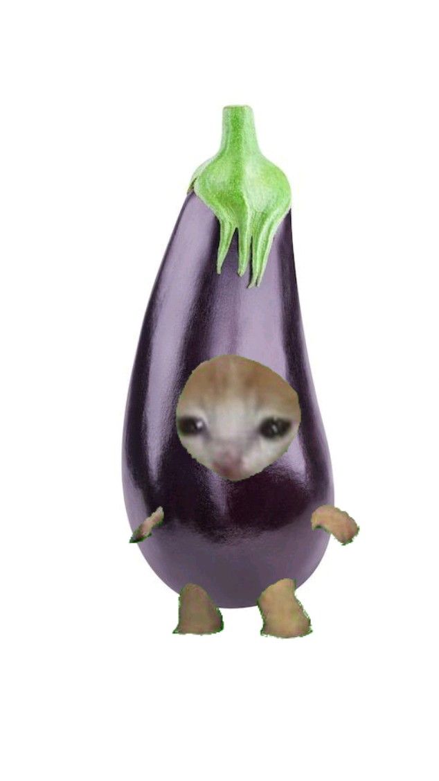 <p>Eggplant</p>