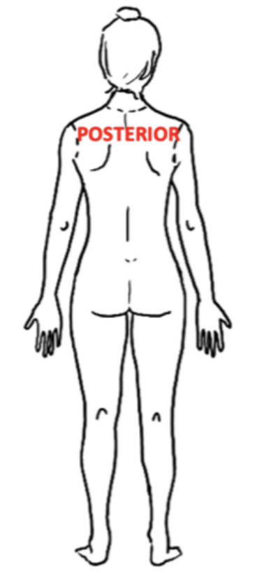 <p>Toward or at the backside of the body; behind</p>