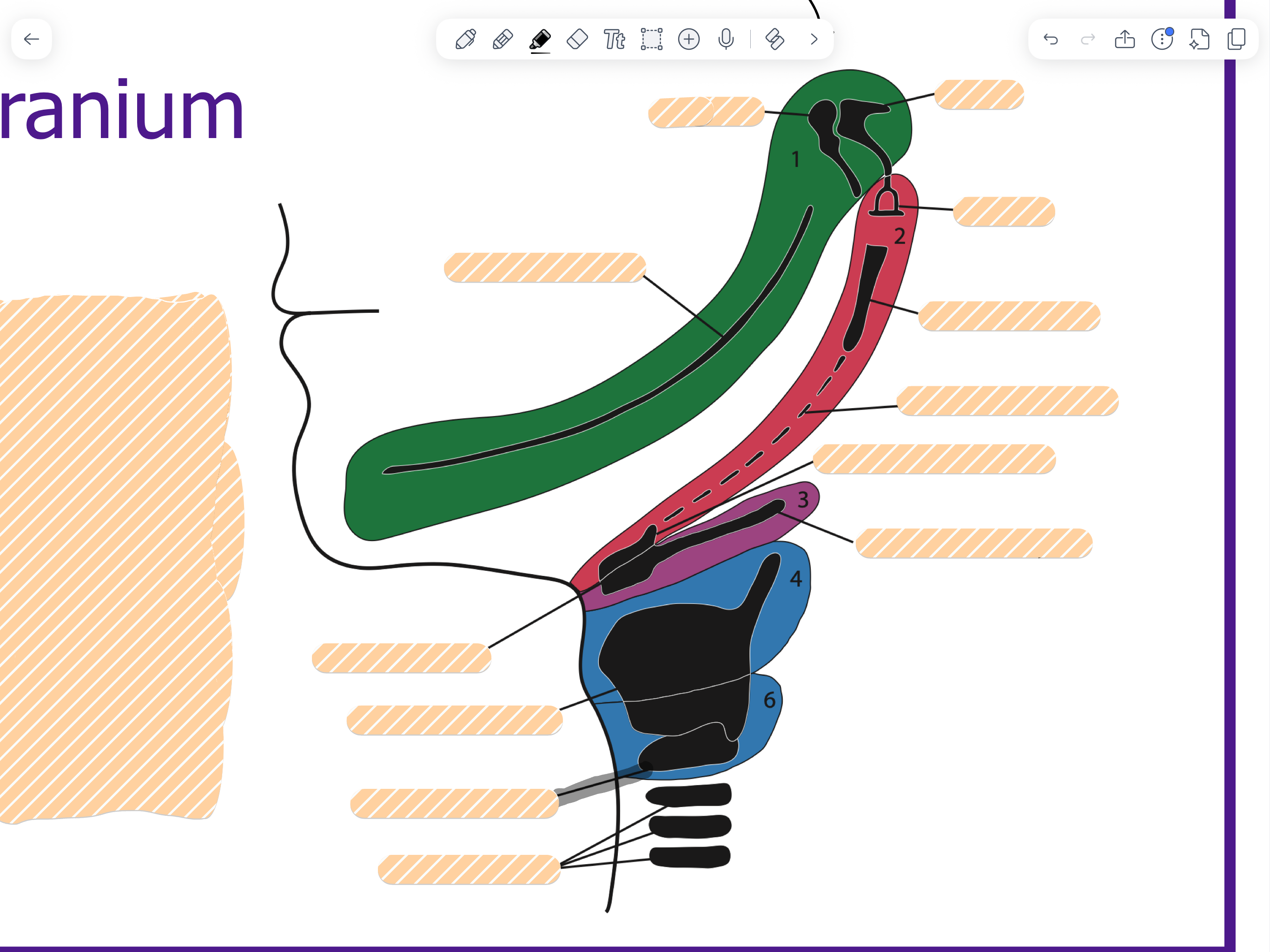 knowt flashcard image