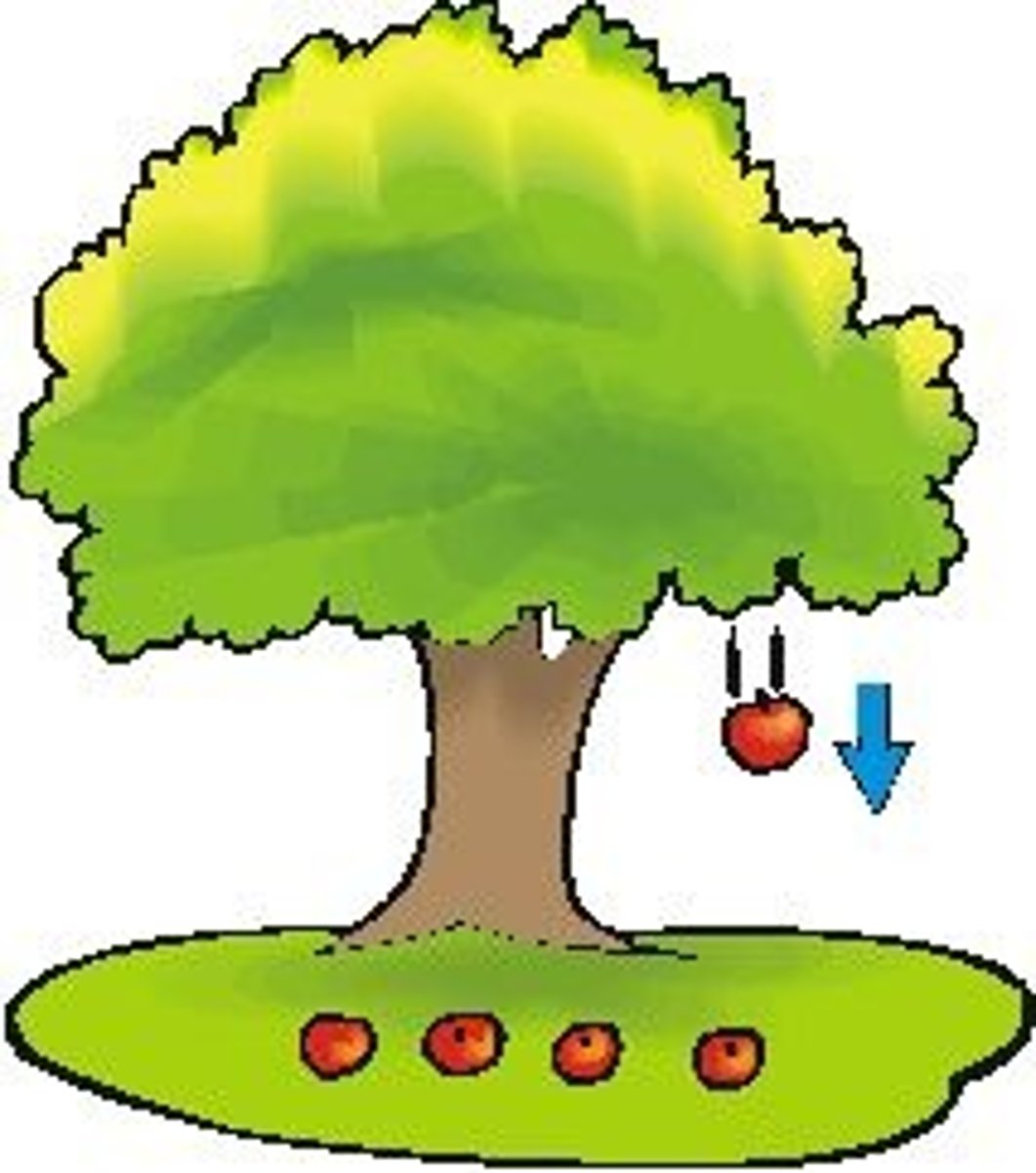 <p>trọng lực</p>
