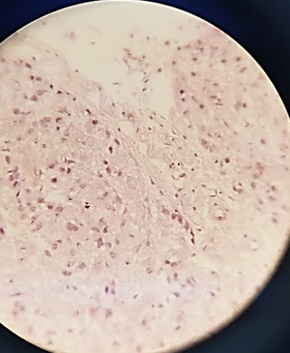 <p>what is this a sample of?</p>