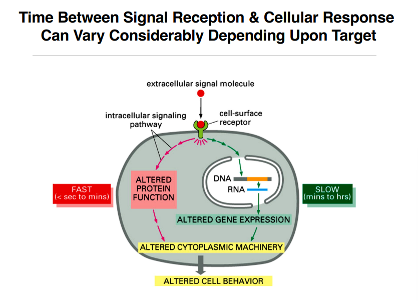 <p><span style="background-color: transparent;"><strong>Speed of Signaling Responses</strong></span></p>