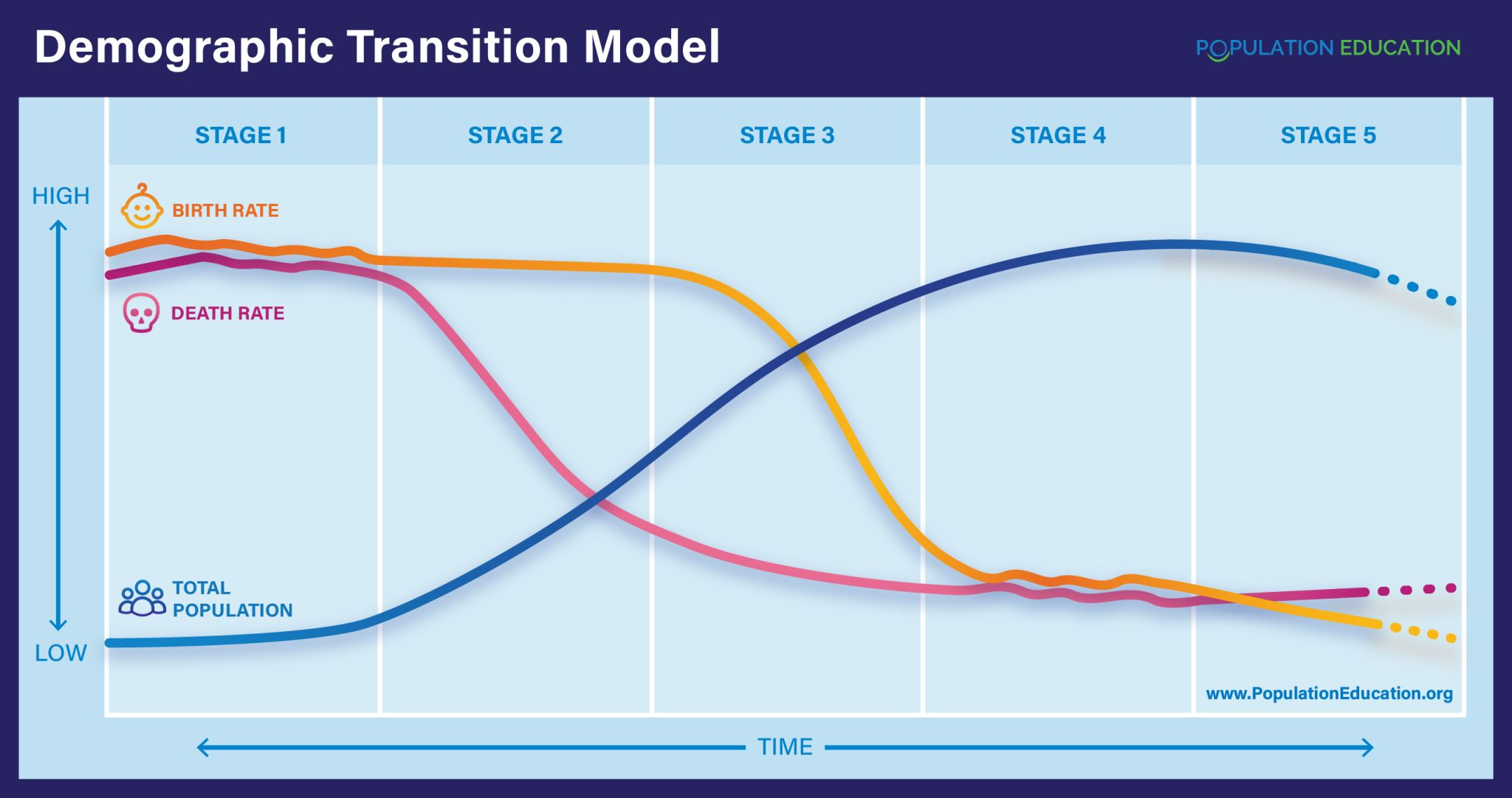 <p>sequence of demographic changes when a country moves from high birth &amp; death rates → low birth &amp; death rates</p>