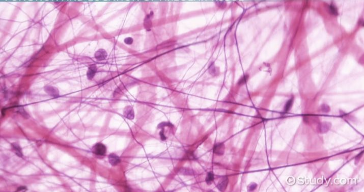 <p>What is this?</p>