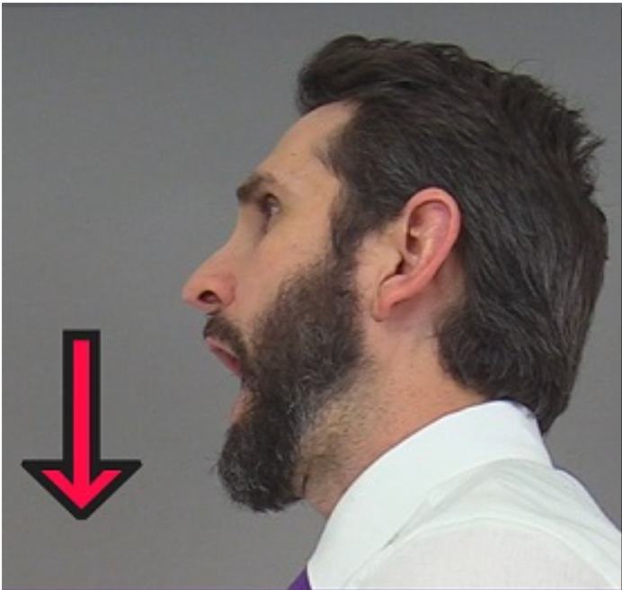 <p>____ is movement that lowers a body part, such as the mandible, vertically in the frontal plane</p>