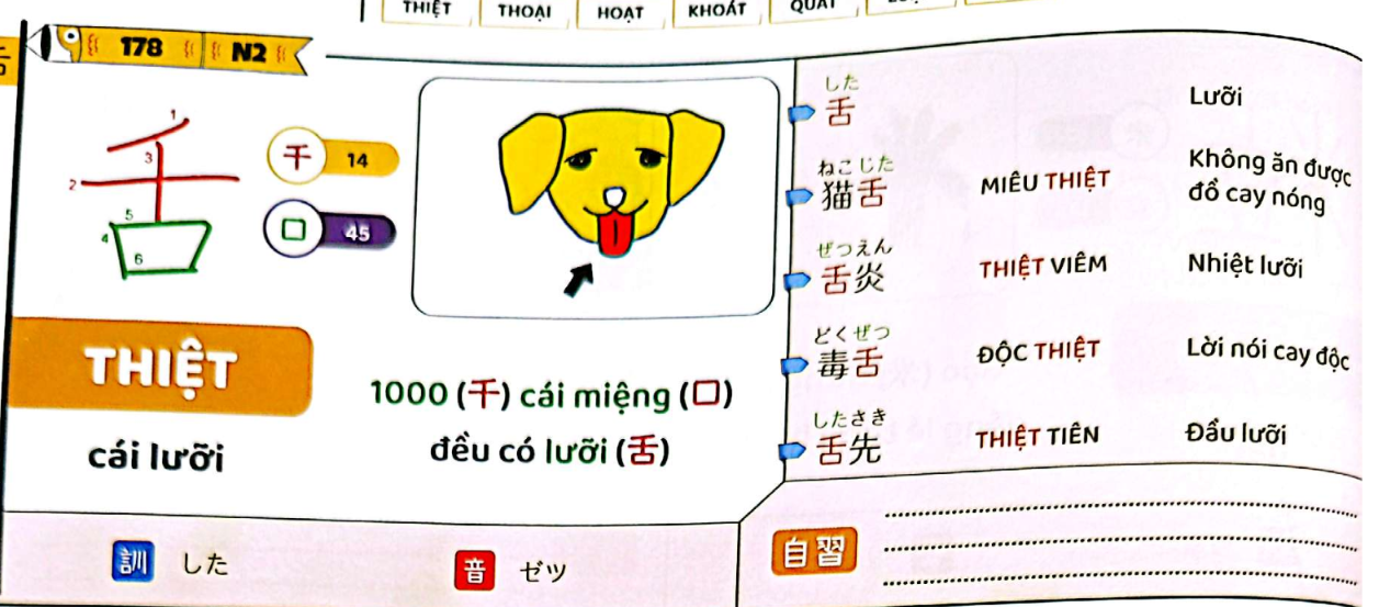 knowt flashcard image