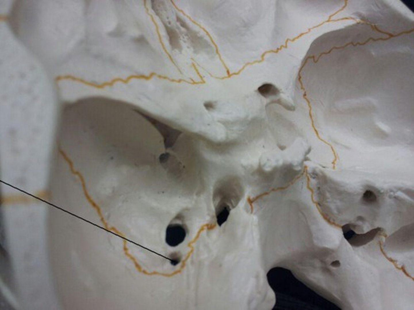 <p>Id hole at tip of line</p>