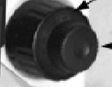 <p>fine focus</p>