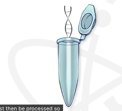 <p>What is the first step in cycle sequencing?</p>
