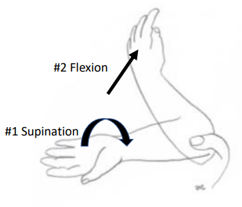 <p>Hypersupinate forearm, press thumb lightly on radial head (aka near elbow)</p><p>Flex elbow 90 degrees</p><p>“click”</p><div data-youtube-video=""><iframe width="640" height="480" allowfullscreen="true" autoplay="false" disablekbcontrols="false" enableiframeapi="false" endtime="0" ivloadpolicy="0" loop="false" modestbranding="false" origin="" playlist="" rel="1" src="https://www.youtube.com/embed/ROIQHBLmJro?rel=1" start="0"></iframe></div><p></p>