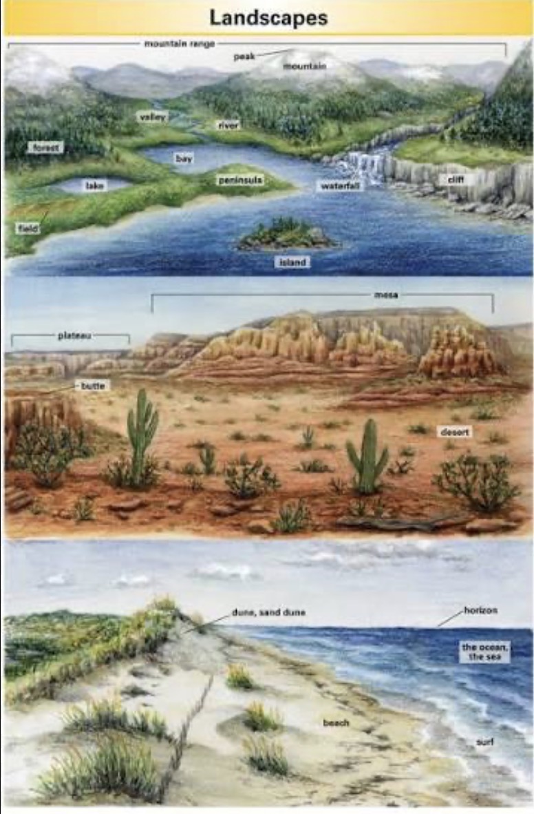 <p>Landscape</p>