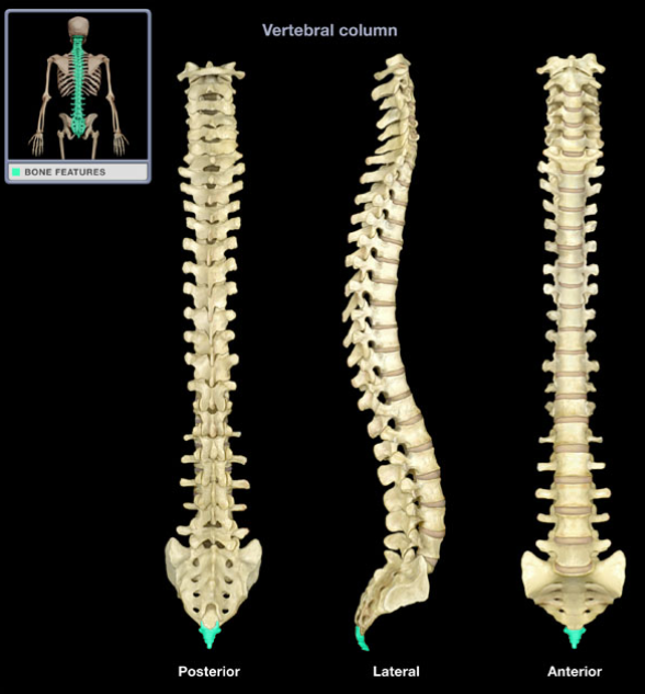 <p>What is the name of this structure?</p>