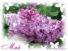 <p>May</p>