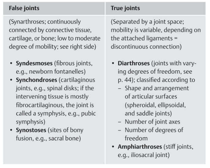<p><strong>rue joints (movable joints)</strong> </p><ul><li><p>These are joints where <strong>movement is possible</strong></p></li><li><p>Bones are connected by <strong>cartilage and/or a joint capsule</strong></p></li><li><p>They allow different types of motion (bend, rotate, slide)</p></li></ul><p><strong>Examples:</strong></p><ul><li><p>Knee joint</p></li><li><p>Shoulder joint</p></li><li><p>Elbow joint</p></li><li><p>Hip joint</p></li></ul><p>These are the normal “functional” joints in the body.</p><p> <strong>False joints (immovable joints)</strong> </p><ul><li><p>These joints allow <strong>no movement or very little movement</strong></p></li><li><p>Bones are tightly connected by <strong>fibrous tissue</strong></p></li><li><p>They are mostly found in the <strong>skull</strong></p></li></ul><p><strong>Example:</strong></p><ul><li><p>Sutures between skull bones (like between frontal and parietal bones)</p></li></ul><p> These are important for protection of the brain and keeping the skull rigid.</p>