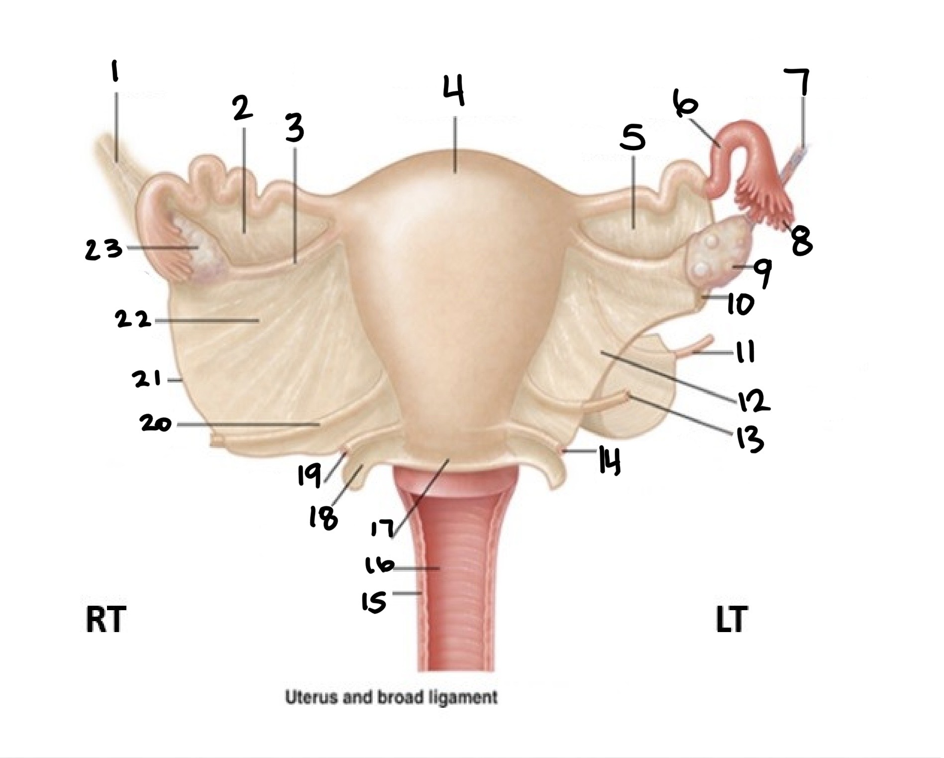 <p>What is number 10</p>