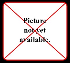 <p>not yet</p>