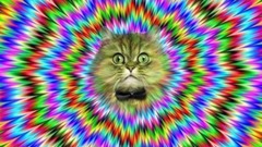 <p>false sensory experiences, such as seeing something in the absence of an external visual stimulus.</p>