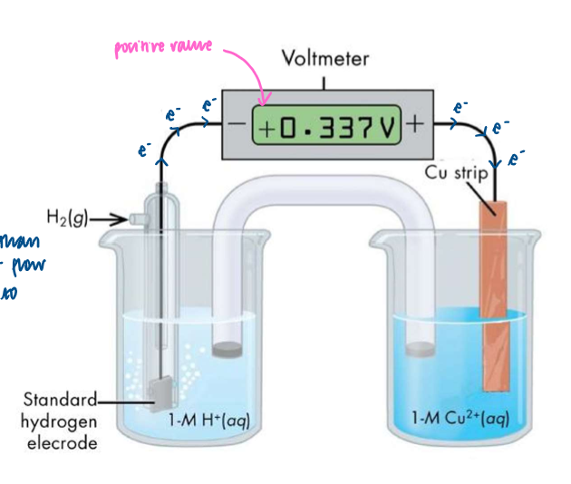 <ul><li><p>set up voltmeter as shown </p></li><li><p>H<sub>2</sub> is a better reducing agent than Cu, so H<sub>2</sub> is oxidised and the electrons flow around the circuit from left to right </p></li><li><p>Cu<sup>2+</sup> (aq) + 2e<sup>-</sup> → Cu (s)</p></li><li><p>E<sub>cell</sub> = E<sub>RHS</sub> - E<sub>LHS </sub>= +0.34V</p></li></ul><p></p>
