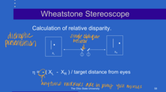 <p>What is the equation used to calculate relative disparity in a Wheatstone Mirror Stereoscope?</p>