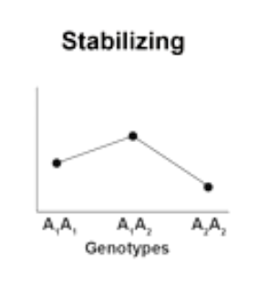 <p>W<sub>11</sub><W<sub>12</sub>> W<sub>22</sub></p>