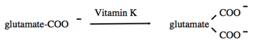 <ul><li><p>Required for calcium homeostasis and blood clotting</p></li><li><p>Certain proteins are modified to become Ca2+ binding proteins</p></li><li><p>Another carboxyl group is added to glutamate</p></li><li><p>Vitamin K dependent</p></li></ul><p></p>
