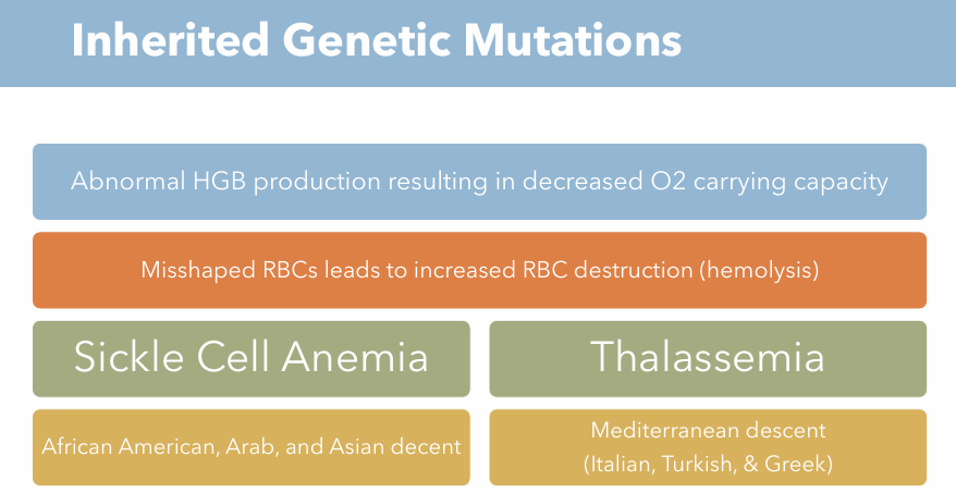 <p>Inherited genetic mutation</p><ul><li><p>African American, Arab, Asian descent</p></li></ul><p></p>
