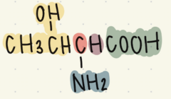 <p>what classification is this AA</p>