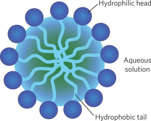 <ul><li><p>a spherical, aggregate of a soap molecule in water</p></li><li><p>these trap the oil in the centre</p></li></ul><p></p>