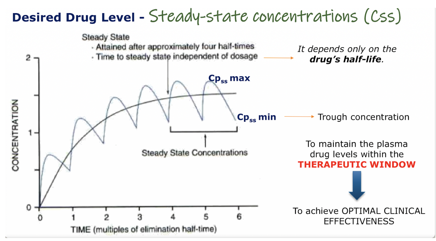 <p><span style="background-color: transparent;">Steady state (Cpss):</span></p>