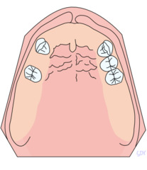 knowt flashcard image