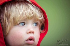 <p>Why do the photographs shown create strong emphasis on the subjects?</p>