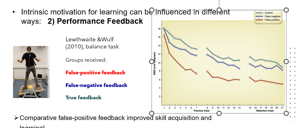 <ul><li><p>Performance Feedback</p></li></ul><p></p>