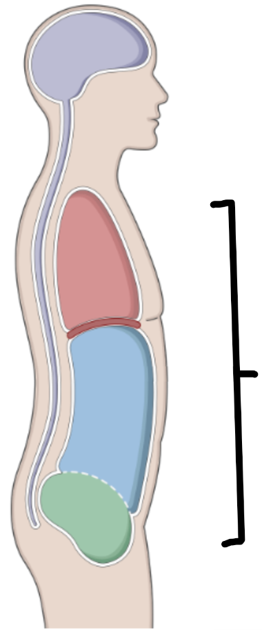 <p></p>