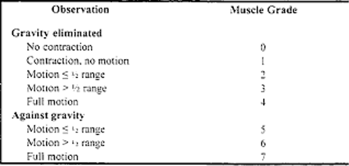 <p>active movement scale (AMS) </p>