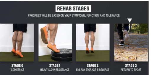 <ul><li><p>Stage 0 - Anyone can do this exercise with minimal symptoms</p></li><li><p>Stage 1 - Heavy, slow exercise that biases eccentric activity</p></li><li><p>Stage 2 - Plyometrics, explosive activity</p></li><li><p>Stage 3 - Return to sport</p></li></ul><p></p>