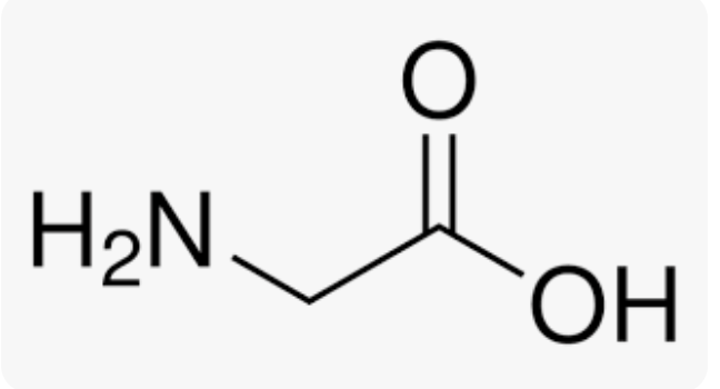 <p>(amino acid)</p>