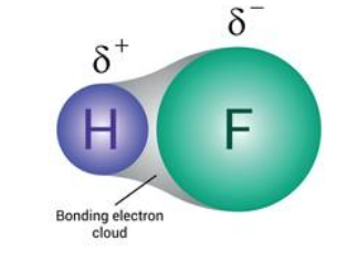 <p>where there is a significant difference in the electronegativity of the two atoms (between 0.4 and 1.7) shared electrons are located towards the atom that has the higher electronegativity number because it has the stronger ability to attract the bonding electrons. there are <strong>two ends, slightly negative </strong>(more electrons) and <strong>slightly positive</strong> (less electrons)</p>