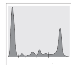 <p><span>Define</span></p>
