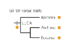 <p>What does the universal traits graph show? </p>