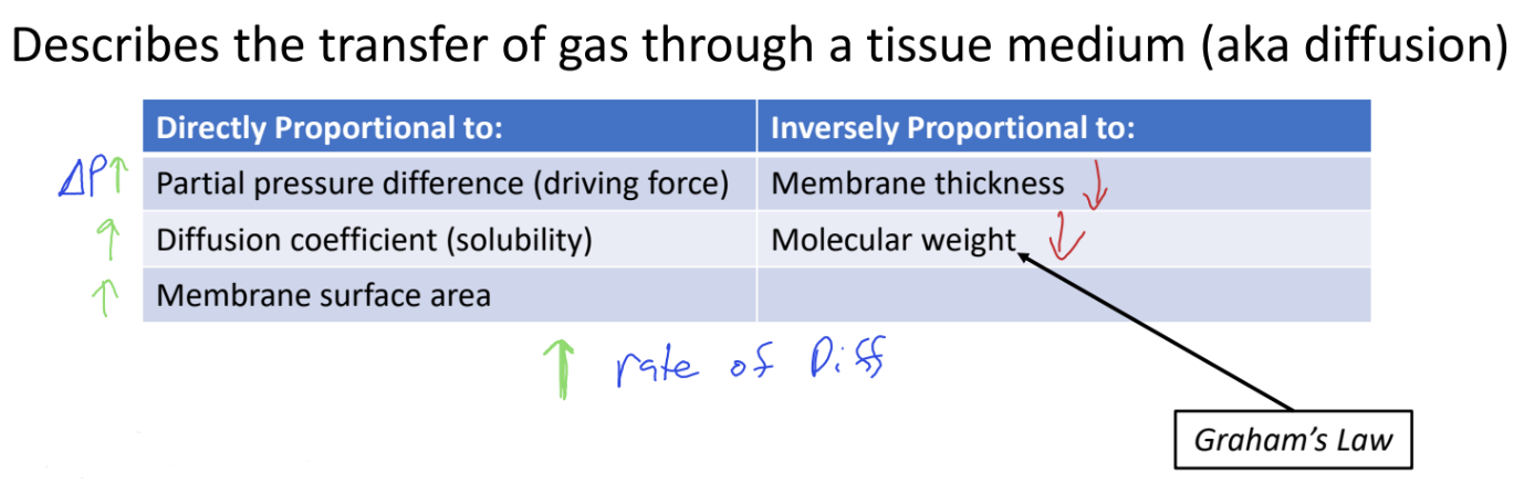 <p>Describes the transfer of gas through a <u>tissue</u> medium (aka diffusion)</p><p></p><p>Applications:</p><p>•Diffusion hypoxia</p><p>•COPD patients retaining CO2</p><p>•Drug transfer across the placenta</p>