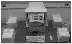 <p>touch flinch response test </p>