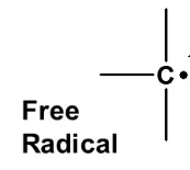 <p>Contain one unpaired electron. Radicals are neutral. Not positive, Not negative.</p>