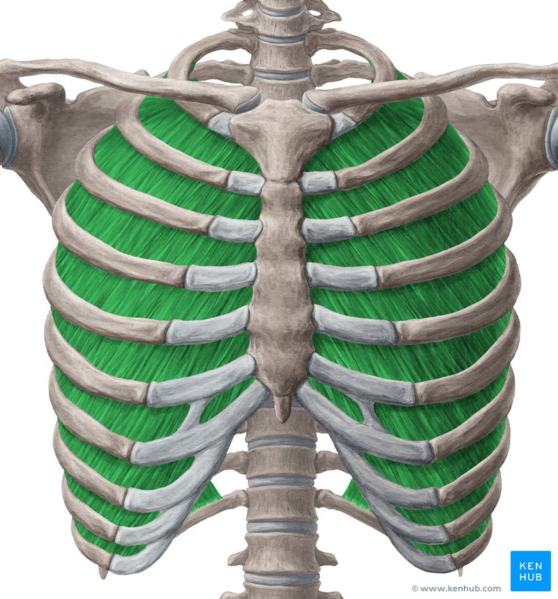 <p>structure</p>