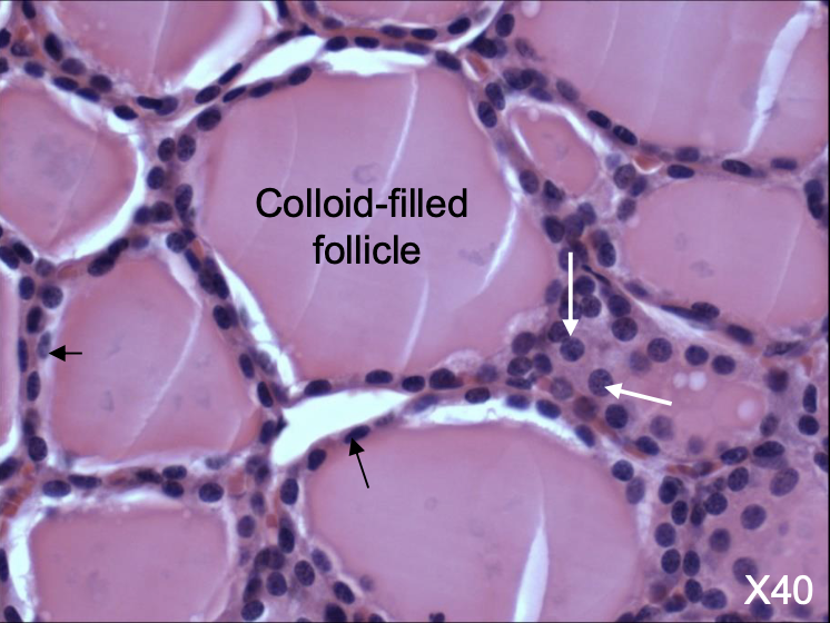 <p>What is this? </p>